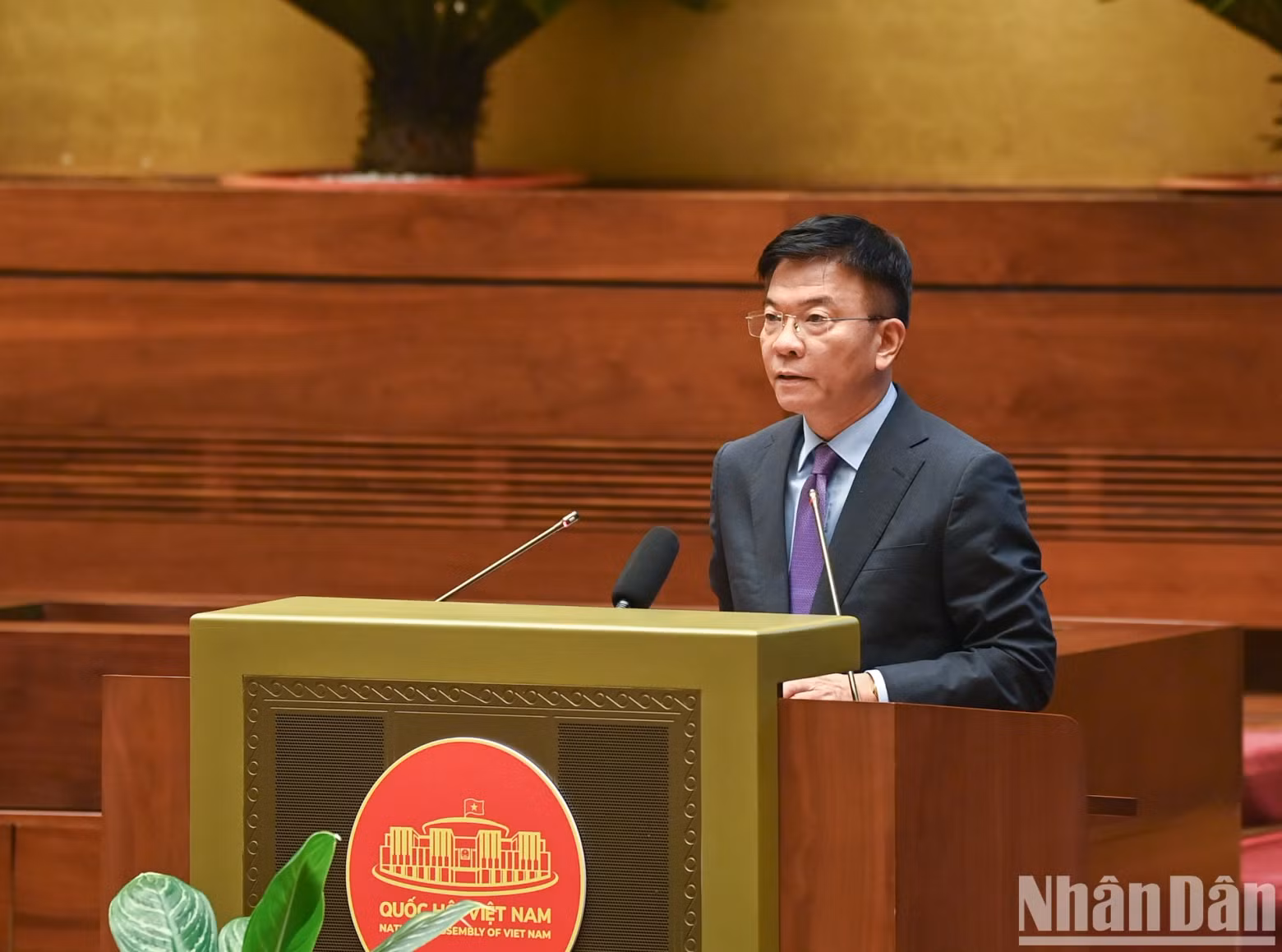 越南政府副总理兼司法部部长黎成龙澄清了一些相关问题。