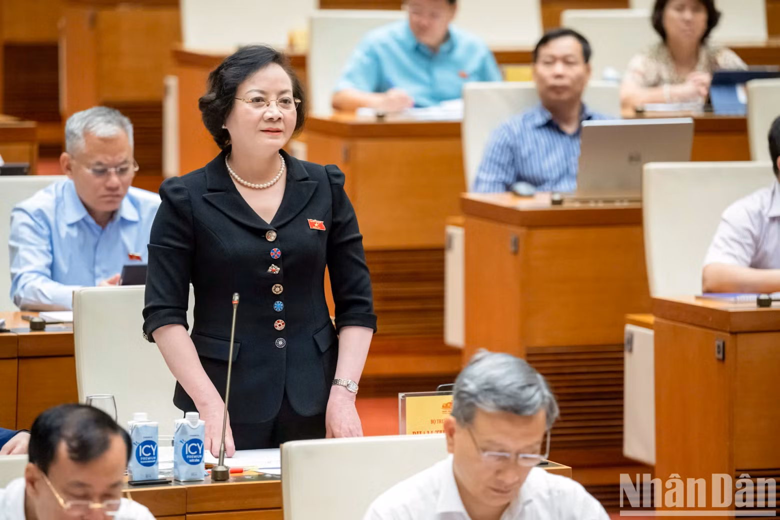越南内务部长范氏青茶回答咨询。