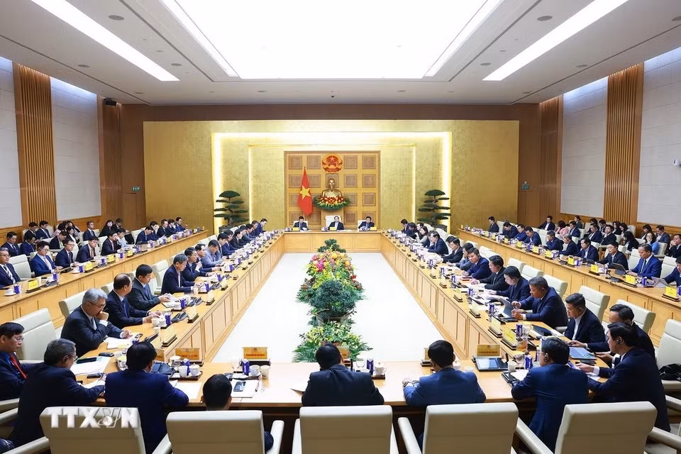座谈会场景。