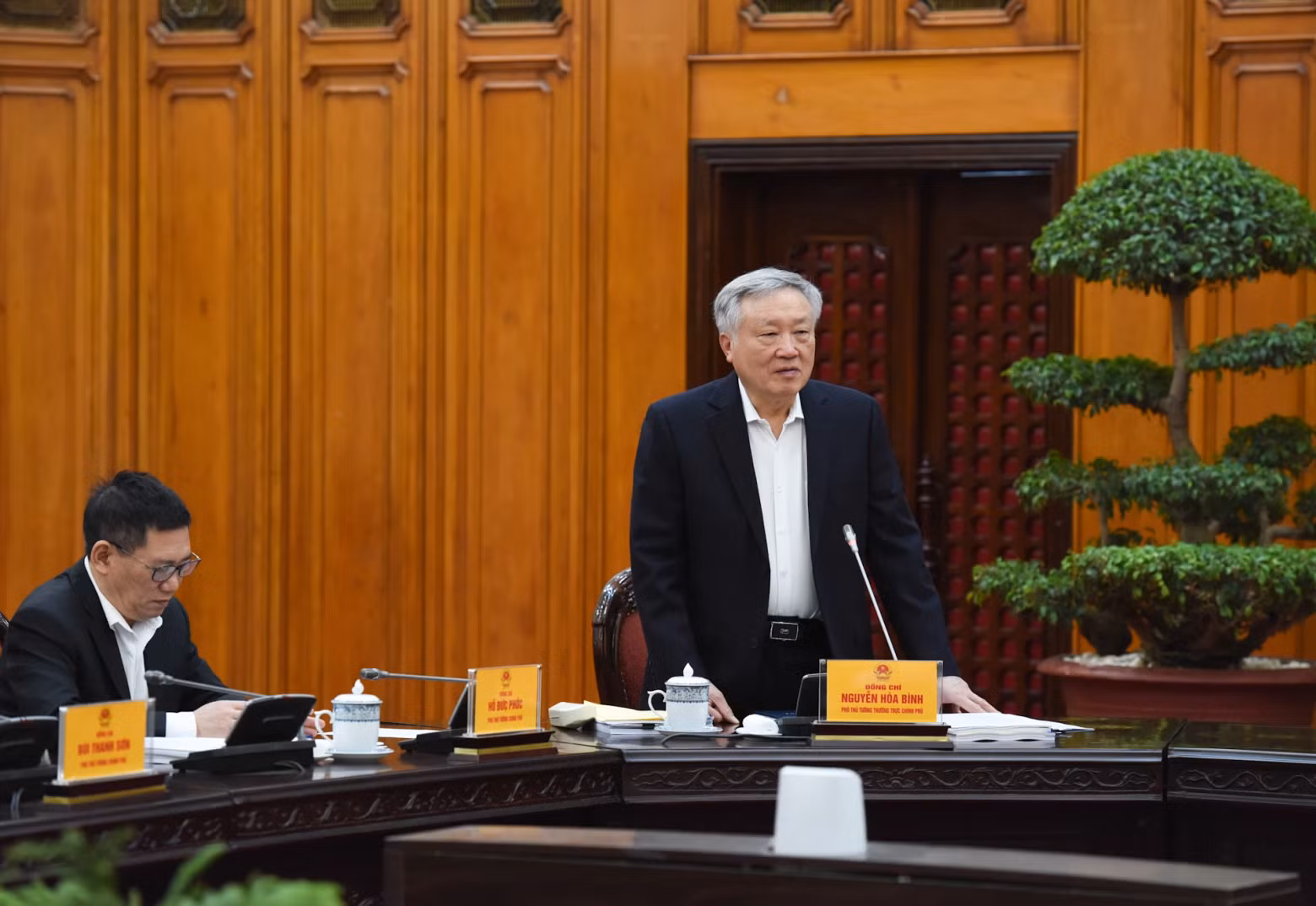 政府常务副总理阮和平发表讲话。