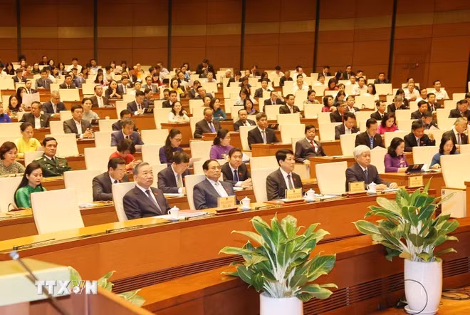 与会代表。