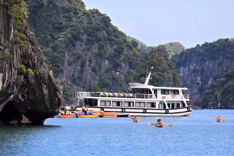 游客可从游轮乘皮划艇踏上无与伦比海湾探索之旅。
