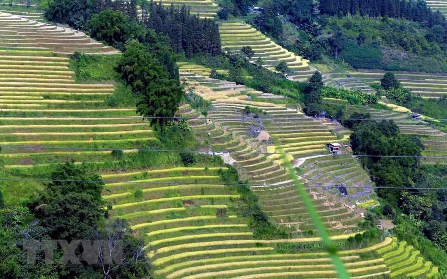 在西北的山林之间，在偏远地区的午后阳光下，时隐时现的小道环围着整个梯田山脉。