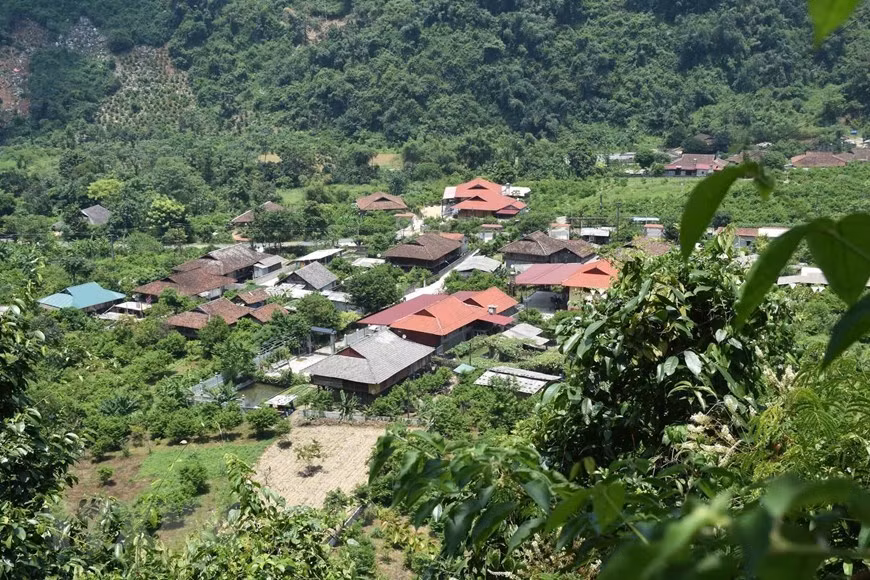 欢忠村山谷里的高脚屋。