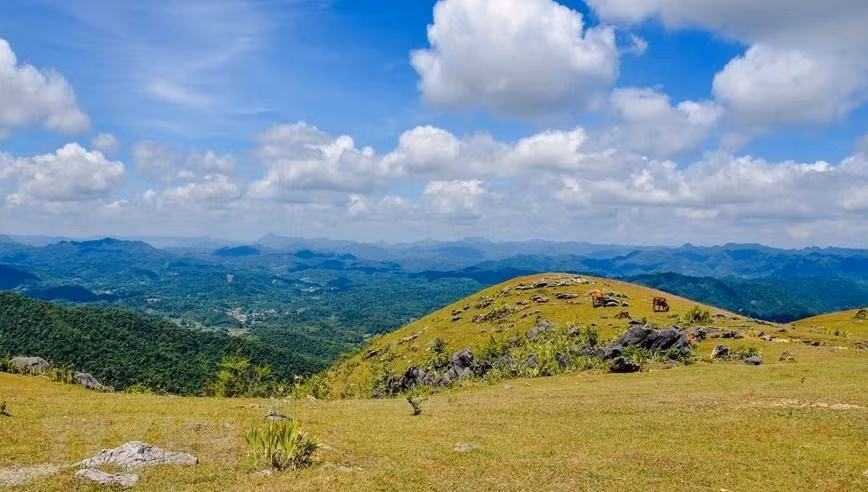 仙女山——谅山省宁静原始的旅游胜地【组图】 ảnh 4