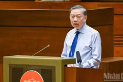 越共中央总书记、国家主席苏林在会上发表讲话。