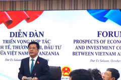 越南国会副主席阮鸿延在论坛上发表讲话。（越南工贸部贸易促进局供图）