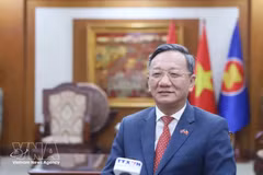 越南驻老挝大使阮明心。（图片来源：越通社）