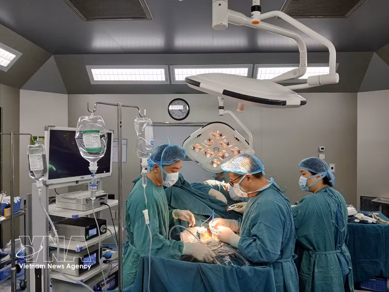 越南医疗在器官移植、心脏介入、机器人手术、胎儿心脏介入、辅助生殖和癌症治疗等诸多高新技术领域日益确立专业能力。（图片来源：越通社）