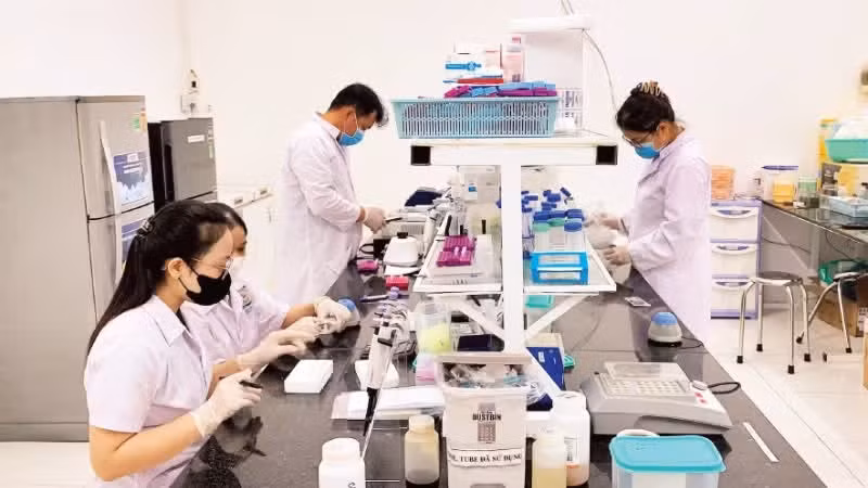 芹苴市扶沙Genomics股份公司展开基因技术研究