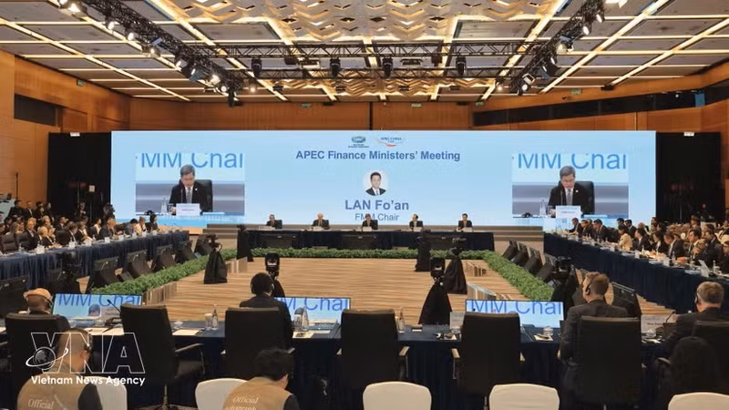 第33届亚太经合组织（APEC）财政部长会议现场。（图片来源：越通社）