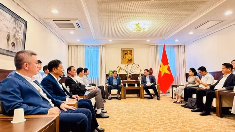 得乐省工作代表团与越南驻日本大使馆馆员举行工作会谈。（图片来源：越南《人民报》）