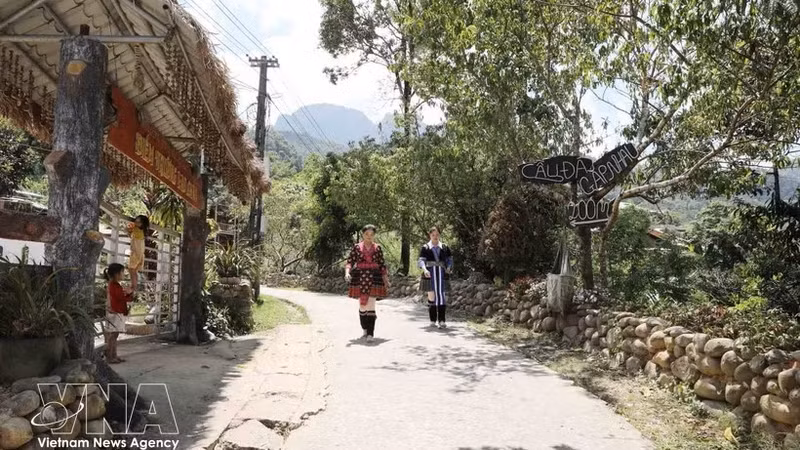 劳寨村的吸引力不仅来自大自然，还在于当地赫蒙族同胞的文化生活。（图片来源：越通社）