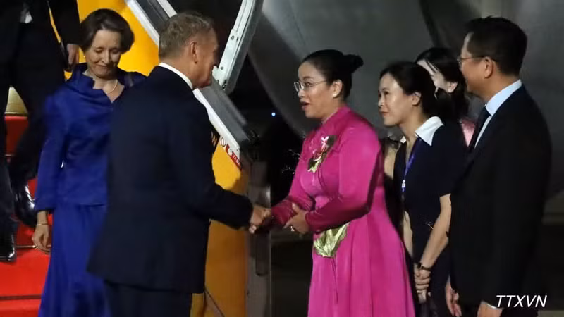 岘港市人民委员会副主席阮氏英诗前往机场迎接波兰共和国总理唐纳德·图斯克。（图片来源：越通社）