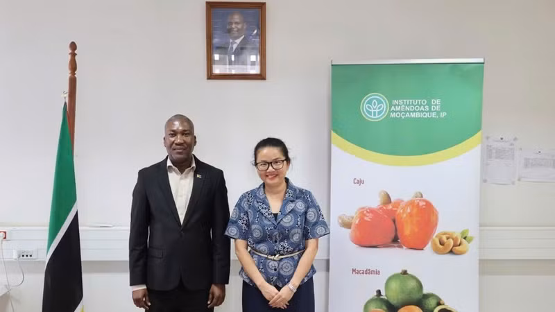 陈氏秋辰大使同莫桑比克腰果研究所所长Jorge Vidigal Fole合影。（越南驻莫桑比克大使馆供图）