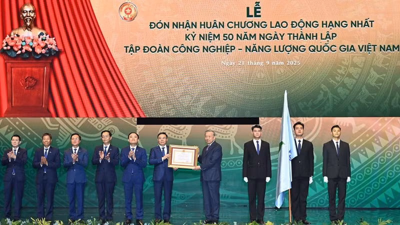 苏林总书记向越南国家工业-能源集团授予一级劳动勋章。（登科 摄）