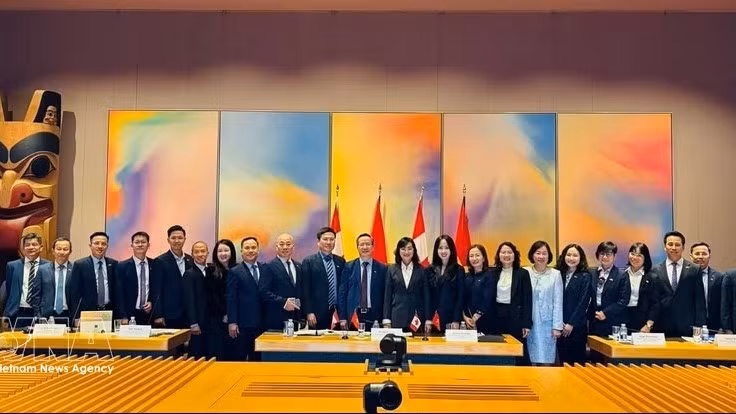 越南代表团在越加经济联合委员会第三次会议上合影留念。（图片来源：越通社）