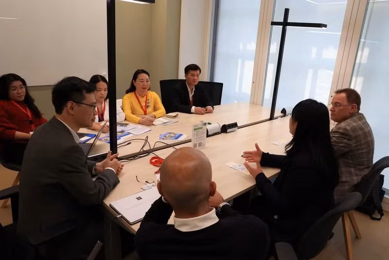 顺化市工作代表团与瑞士合作伙伴进行工作会谈。（图片来源：越通社）