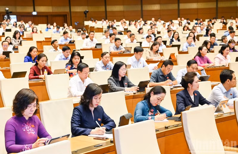 国会代表在会上讨论2026年经济社会发展计划执行情况。（维灵 摄）