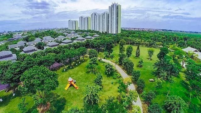 推动能源转型，助力实现净零排放目标。