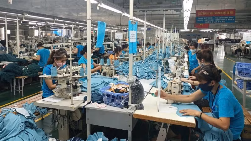 在河内纺织服装总公司开展的出口纺织服装产品生产活动。