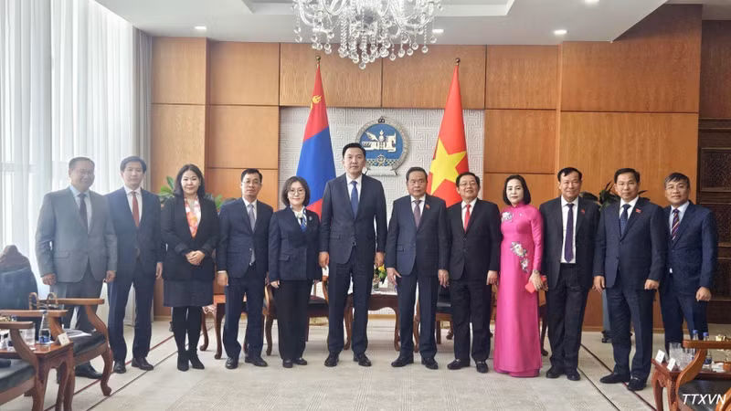 越南国会主席陈青敏会见蒙古国总理尼亚木奥斯尔·乌其尔勒【组图】 ảnh 1