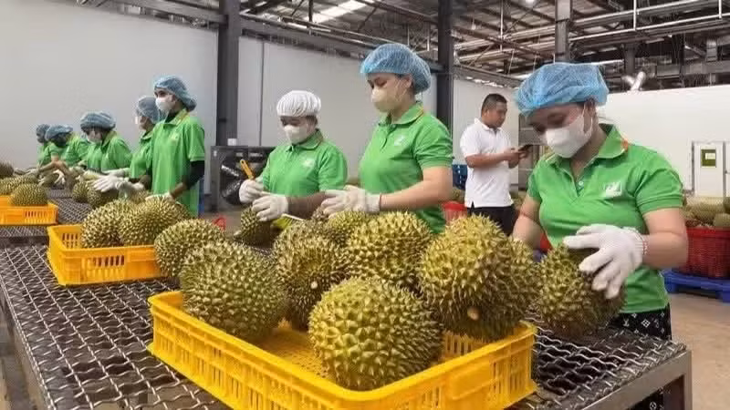 截至2026年6月中旬，农产品溯源系统已对112个产品类别的18500种产品进行溯源管理。