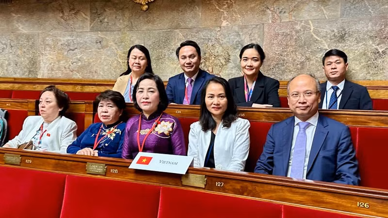 越南国会副主席阮氏清率领的越南代表团出席法语国家议会大会（APF）第50次会议。（图片来源：越通社）