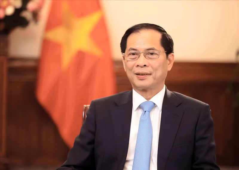 越南政府副总理兼外交部长裴青山。（图片来源：越通社）