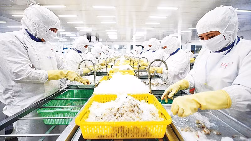 多家纺织和水产生产企业开始应用区块链技术来证明产品的原产地及其环保生产流程。（英俊 摄）