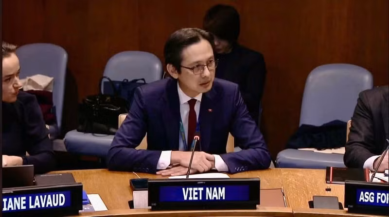 越南常驻联合国代表团团长杜雄越大使在会上致辞。（图片来源：越南常驻联合国代表团）