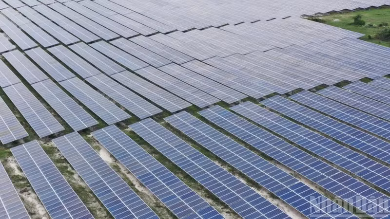在越南林同省峰富太阳能发电场（Solarcom）安装的太阳能电池板。（文维 摄）