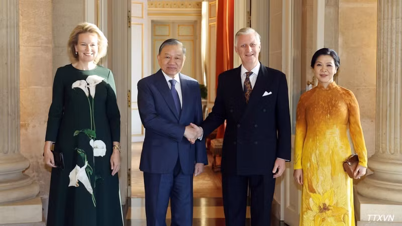 越共中央总书记、国家主席苏林和夫人吴芳璃会见比利时国王菲利普和王后玛蒂尔德。（图片来源：越通社）