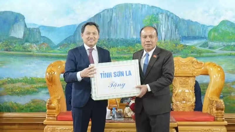 山罗省省委副书记、省人民委员会主席阮廷越礼节性拜会老挝华潘省领导。