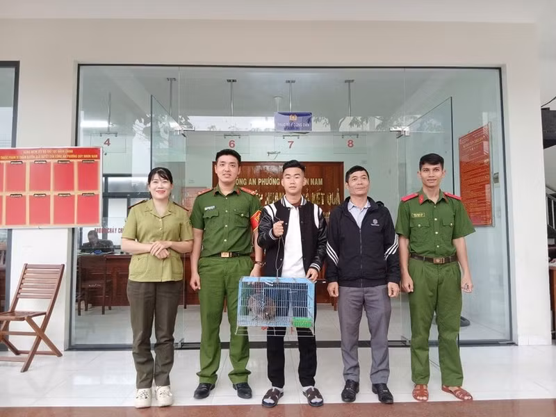 嘉莱省林检部门接收一只珍稀黑冠鳽。（图片来源：越通社）
