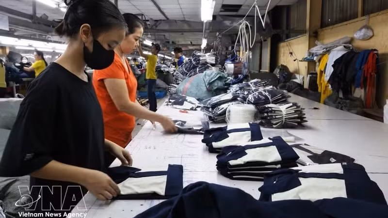 胡志明市永禄乡出口服装加工厂的工人正在作业。（图片来源：越通社）