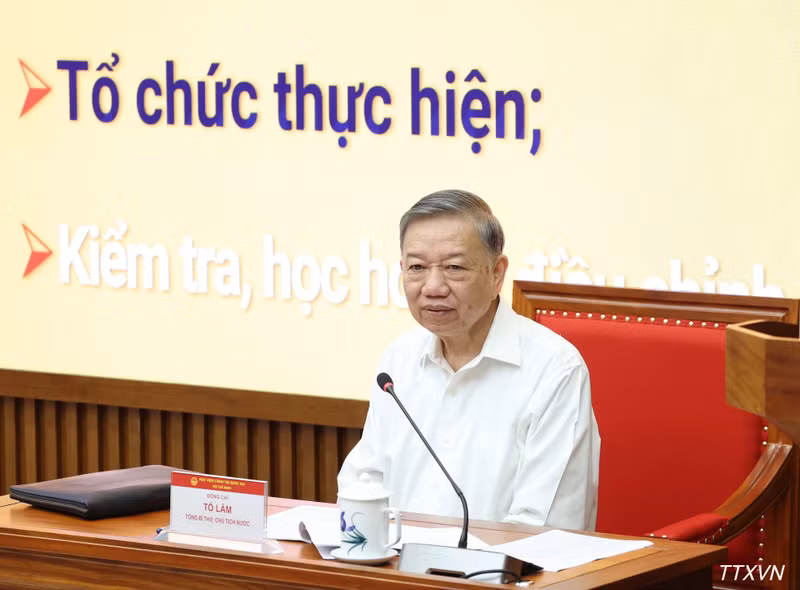 越共中央总书记、国家主席苏林发表讲话。（图片来源：越通社）