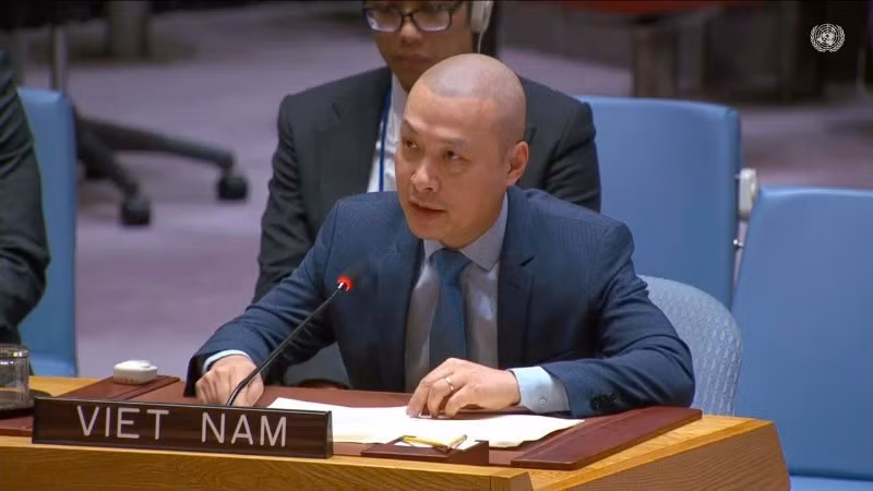 越南常驻联合国代表团临时代办阮黄原公使。
