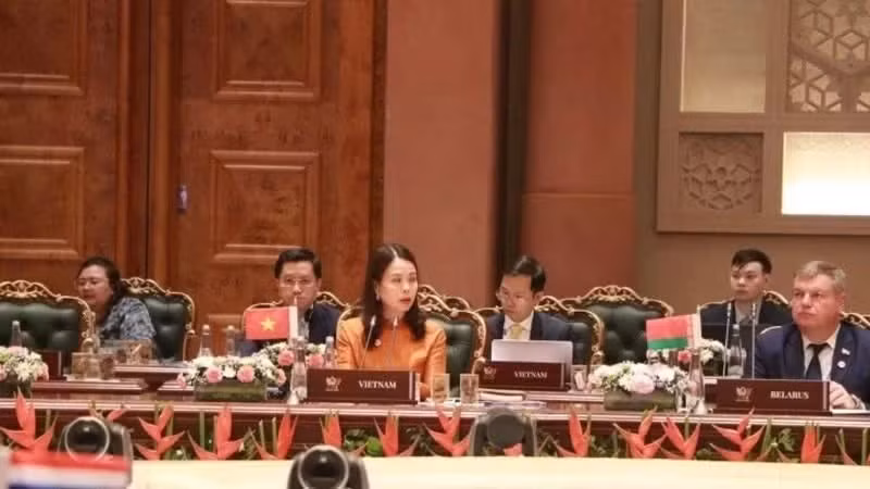 越南外交部副部长阮明姮在会议上发表讲话。