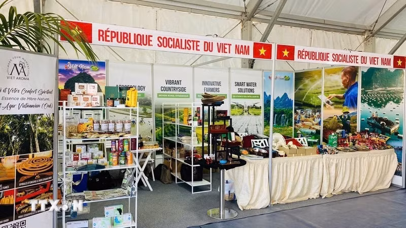 在摩洛哥一展会的越南展区。（图片来源：越通社）