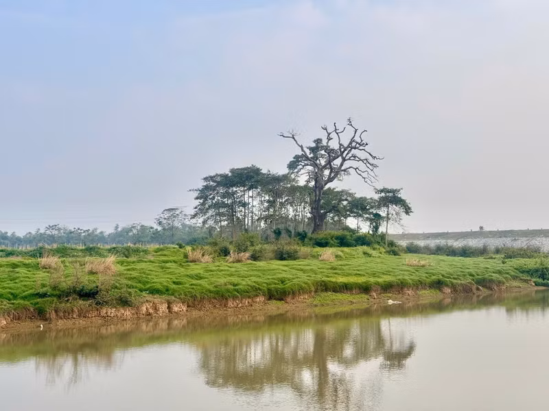 多福乡的美丽景观，可作为举办露营、户外艺术表演等多种体验式旅游活动的场所。