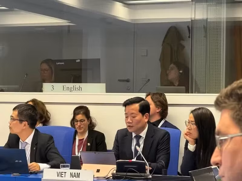 辐射与核安全局局长阮黄灵在大会上作国家报告。（图片来源：越通社）