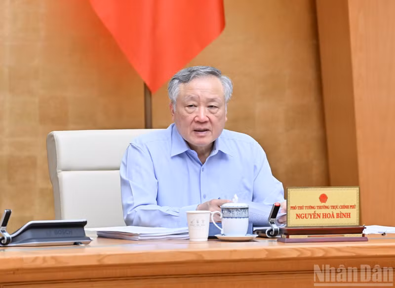 政府常务副总理阮和平发表讲话。