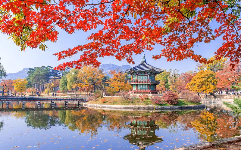韩国红叶季之美。
