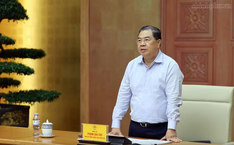 越南政府副总理范嘉足发表讲话。（图片来源：qdnd.vn）
