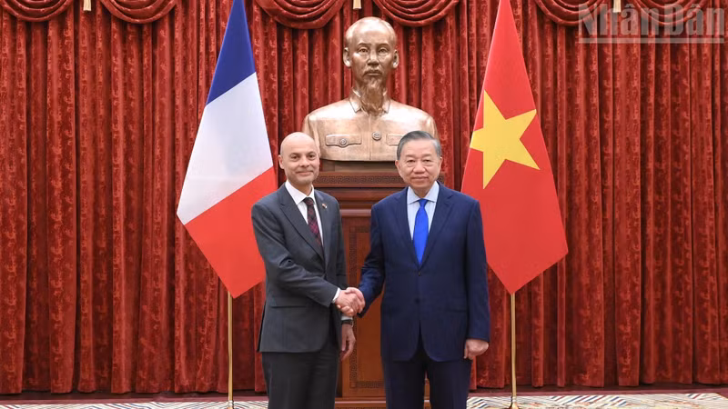 越共中央总书记、国家主席苏林会见法国驻越南大使迪迪埃·勒布雷。